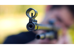 Éles lőfegyverrel lőttek udvarban lévő kutyákra Pécs mellett