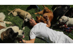 Magyar származású kutyatréner a floridai neveletlen ebek megmentője