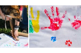 Új állatvédelmi rekord és új jeles nap született