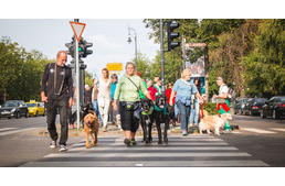 A városligeti kutyások igényeit méri fel az EB OVO Egyesület
