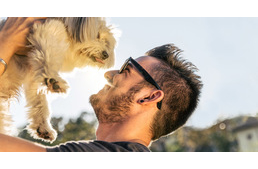 A kutyatartók vonzóbbak, mint a macskatartók