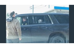 “Letartóztatták” a kutyát, aki szarvast üldözött