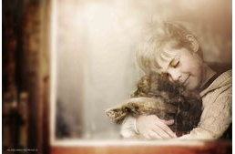 Egy kisfiú és kutyái közötti igaz barátság képei