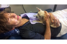 Fogatlan kutyus lett terápiás kutya egy fogászati rendelőben