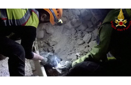 Földrengések Olaszországban - az állatokat is menteni kell a romok alól!