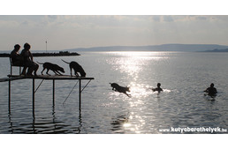Boldog kutyák és gazdik a Fonyódi Kutyás Fürdőhelyen