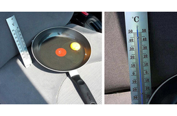 Ez történik a nyers tojással, ha a napon álló autóban hagyod - kitennéd ennek a kutyádat?