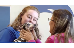 12 év után lett meg egy család eltűnt kutyája