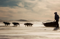 Egy magyar lány is pályázik az egyik legextrémebb kutyás kalandra