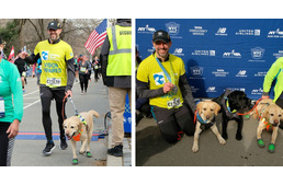 Kutyái tették lehetővé a vak férfinak, hogy teljesítse a félmaratont