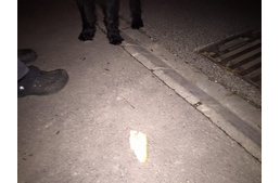 Budapesten is mérgezik a kutyákat