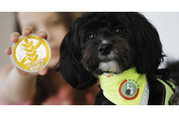 Munkába állt az első magyar gluténjelző kutya – egy kislányra vigyáz Gofree