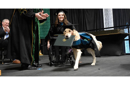 Tiszteletbeli diplomát kapott egy golden retriever