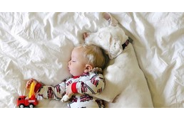 Bántalmazott kutya lett a kisbaba legjobb barátja