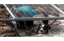 „Hat láb, két szív, egy büszkeség” – Folytatódik a legkeményebb kutyák és gazdik versenye!