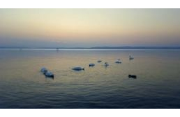 Kutyás paradicsom a Balatonnál: Hotel Három Hattyú***