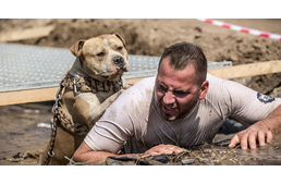 Nemzetközi porondra lép a Hard Dog Race