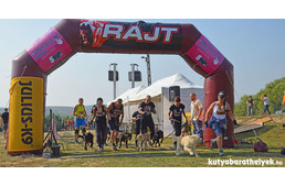 Ilyen volt a legkeményebb kutyák és gazdik versenye