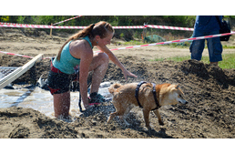 Megmérettettek a legkeményebb kutyák és gazdák - ilyen volt a Hard Dog Race