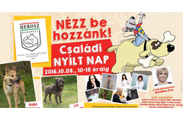 Állatok Világnapja sztárokkal és a HEROSZ Állatotthon védenceivel