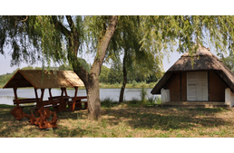 Kutyastrand nyílik Pécsett