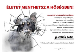 Életet menthetsz a hőségben!