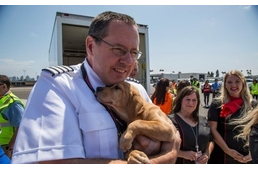 Jótékonysági repülőjáratokkal mentik a kutyákat és macskákat a hurrikánok pusztítása elől