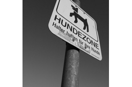 Bécs a kutyabarát helyek tárháza