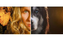 "Megmentettem egy árva kutyát - ám  végül ő mentett meg engem"