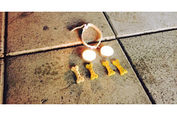 Stockholmi terrortámadás: szívszorítóan búcsúznak a négylábú áldozattól