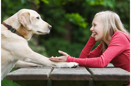 Így dolgozza fel a kutyák agya az emberi beszédet: hatékonyabban elemzik a beszélő kilétét, mint a beszédhangokat