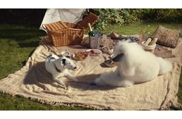 Kutyám státusza: kapcsolatban