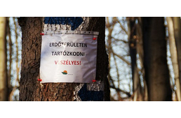 Erdőlátogatási tilalom! 