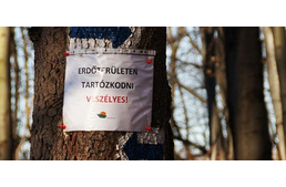 Korlátozások az erdőlátogatásban - tájékozódj indulás előtt!