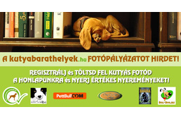 Fotópályázat 2015-ben is a kutyabarathelyek.hu-n!