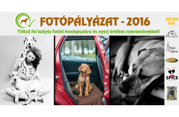 Fotópályázat 2016 - íme a nyertesek!