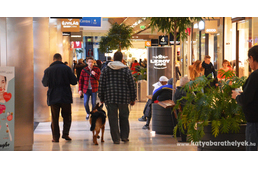 Így zajlik Dr. Varga Károly és Rex egy napja