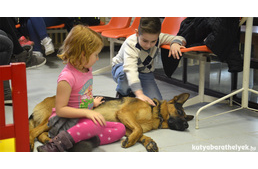 Már csak egy hónap és vizsgázik Rex!