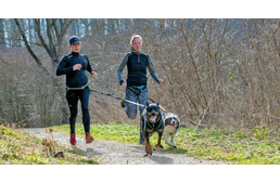 Fussunk a kutyánkkal - kezdő szett