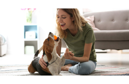 Öt tipp kutyásoknak, kijárási korlátozás idejére