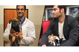 Íme a legszexibbnek választott állatorvos