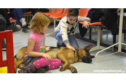Hamarosan terápiás kutya lesz Rex!
