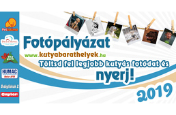 Fotópályázat: íme, 2019 legjobb képei!