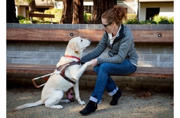 Vakvezető ABC - I, mint Időskor