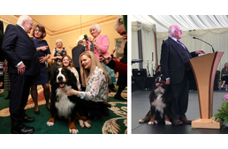 Mindenhova magával viszi kutyáit Írország miniszterelnöke