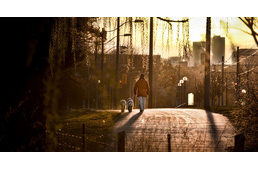 Kijárási korlátozás - állataink ellátása és a kutyasétáltatás megengedett