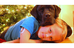 Felébredt a kutya a gyerek közelgő rohamára: így meg tudta menteni az életét