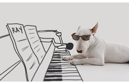 Illusztrációk bullterrierre - ez már művészet!