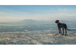 Biztonságos jégre lépés - hasznos tudnivalók és szabályok