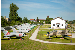 Kutyabarát program egy kutyabarát múzeumban